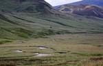 Cairngorms  National  Park 